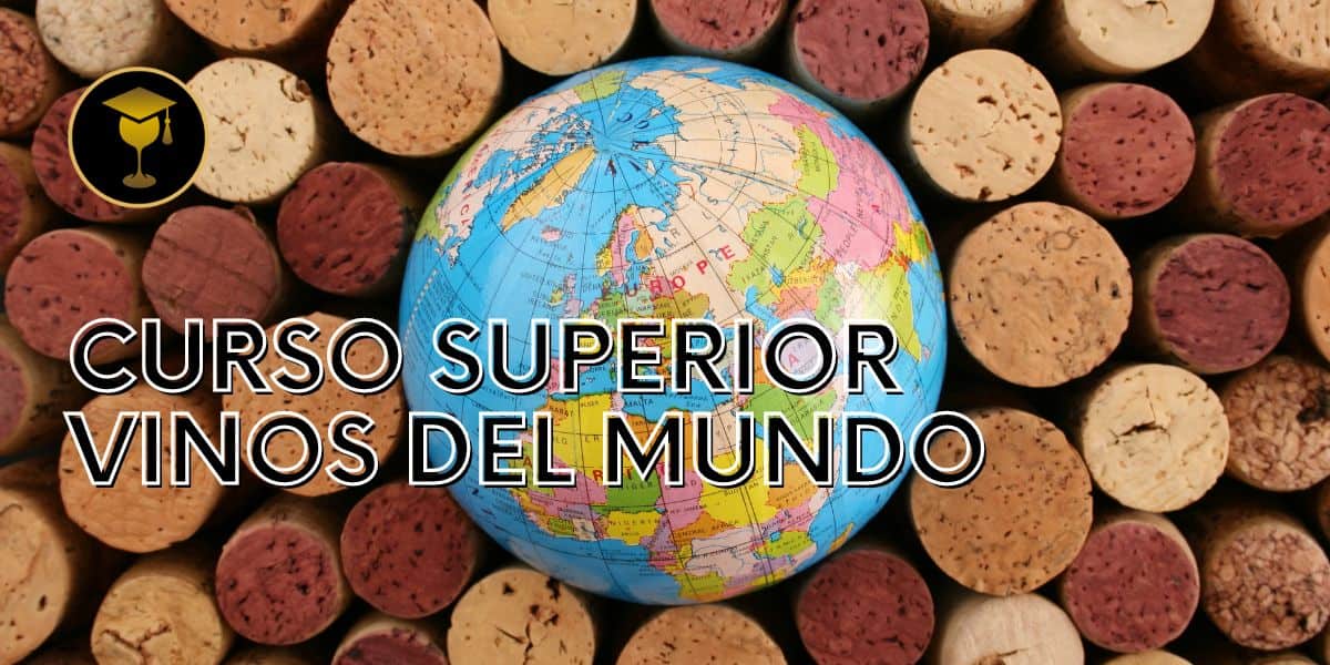 curso superior vinos del mundo