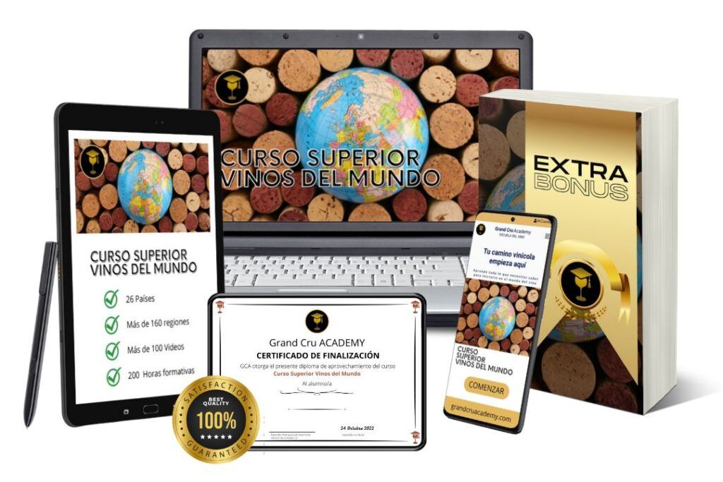 curso superior vinos del mundo