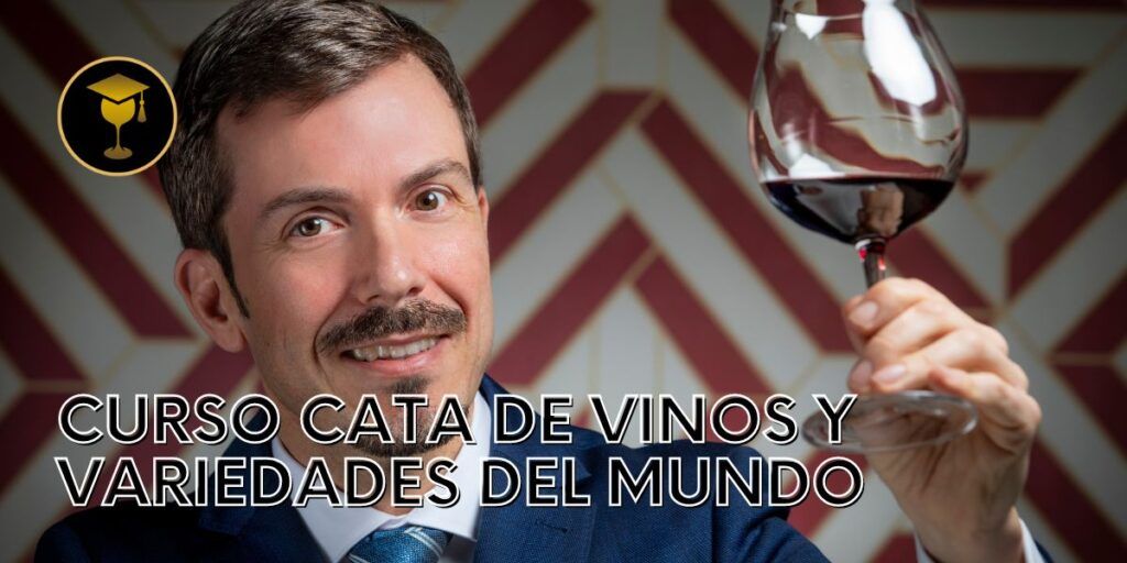 curso de cata y variedades del mundo
