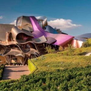 curso experto vinos España