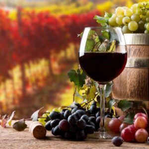 Curso Introducción al mundo del vino